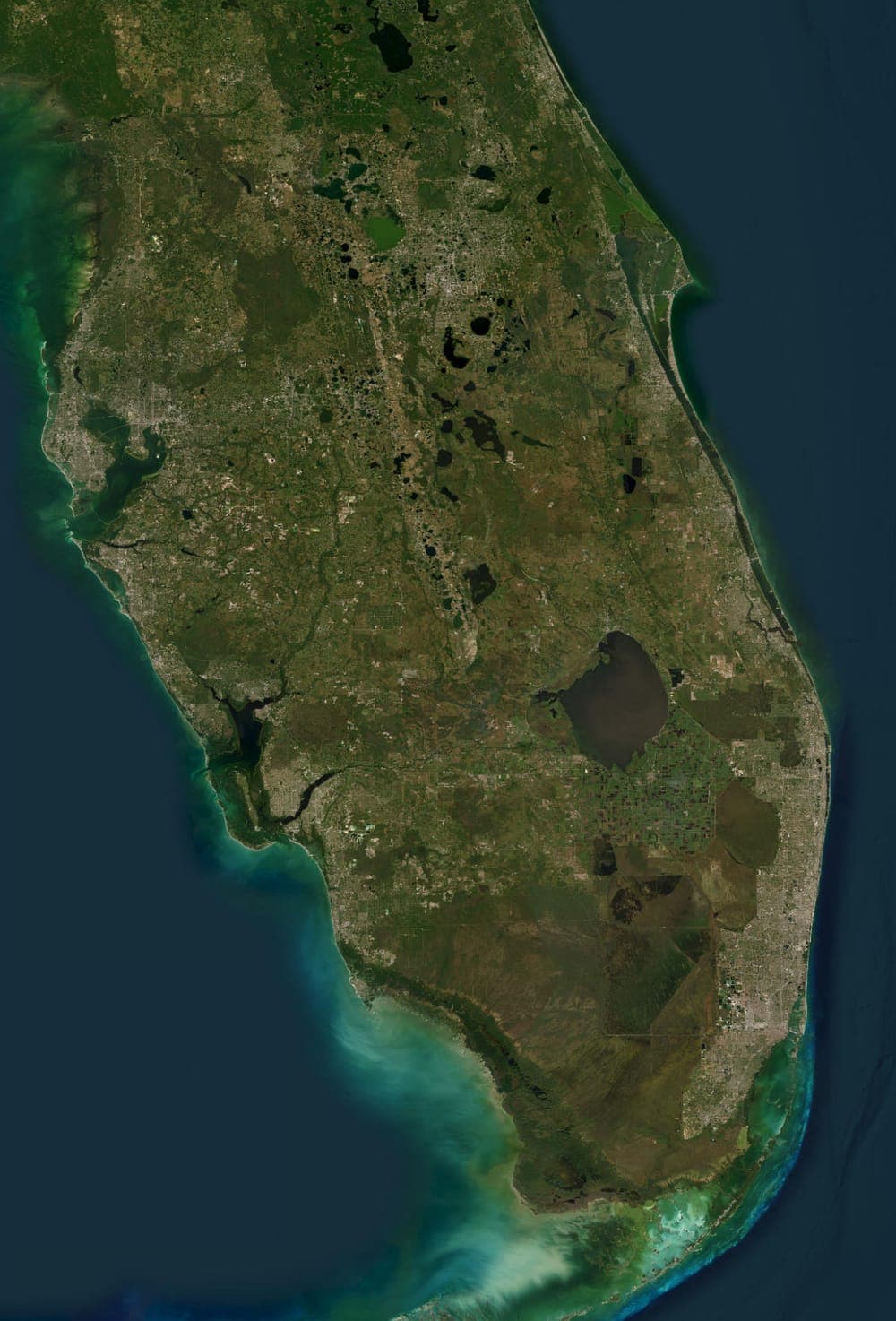 Satellite map of the Florida peninsula showing Nimble Junk Removal service cities
