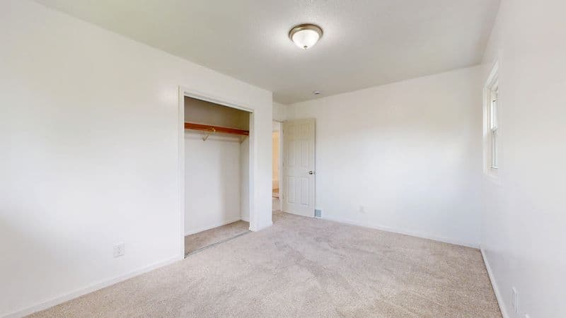 Carpet Removal — Nimble Junk Removal