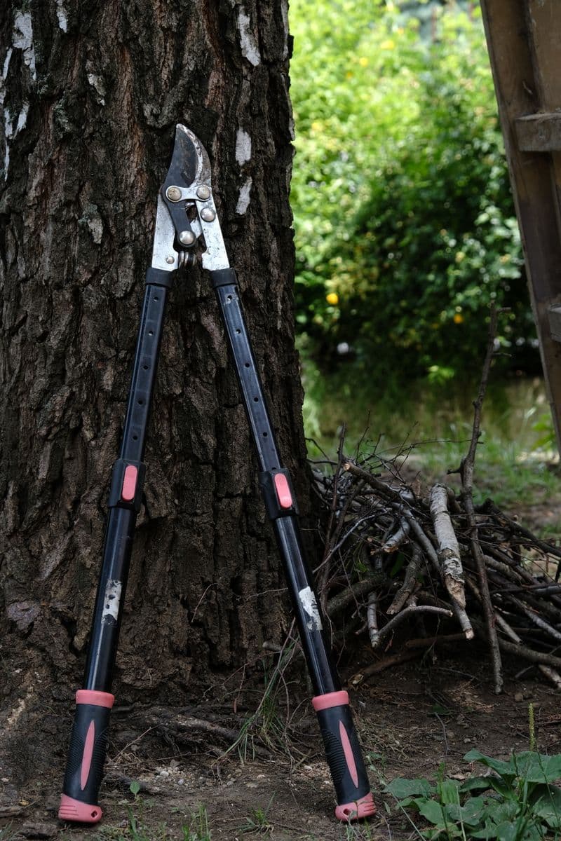 Yard Waste — Nimble Junk Removal